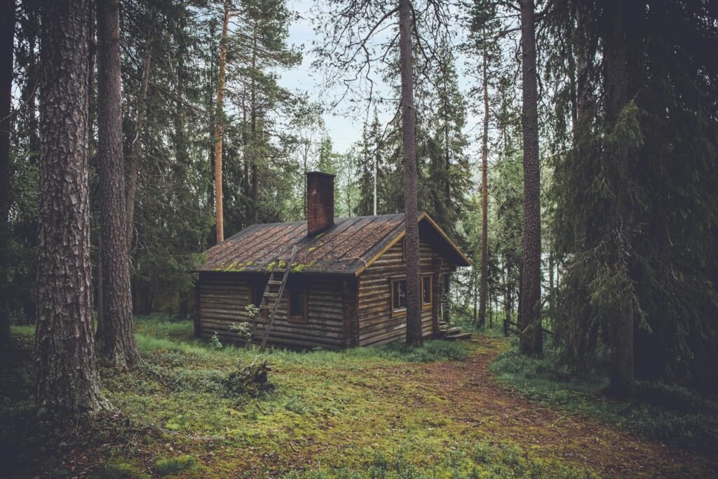 Small cabin in a pine forest