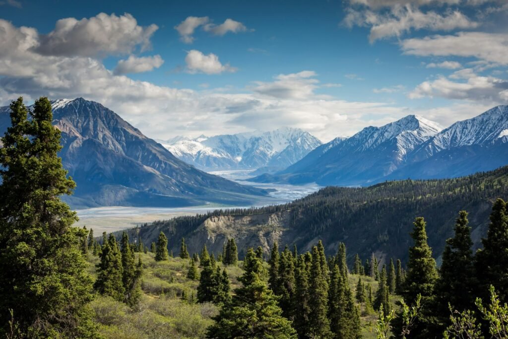 Mountain valley with pine forest and snow-capped peaks in summer