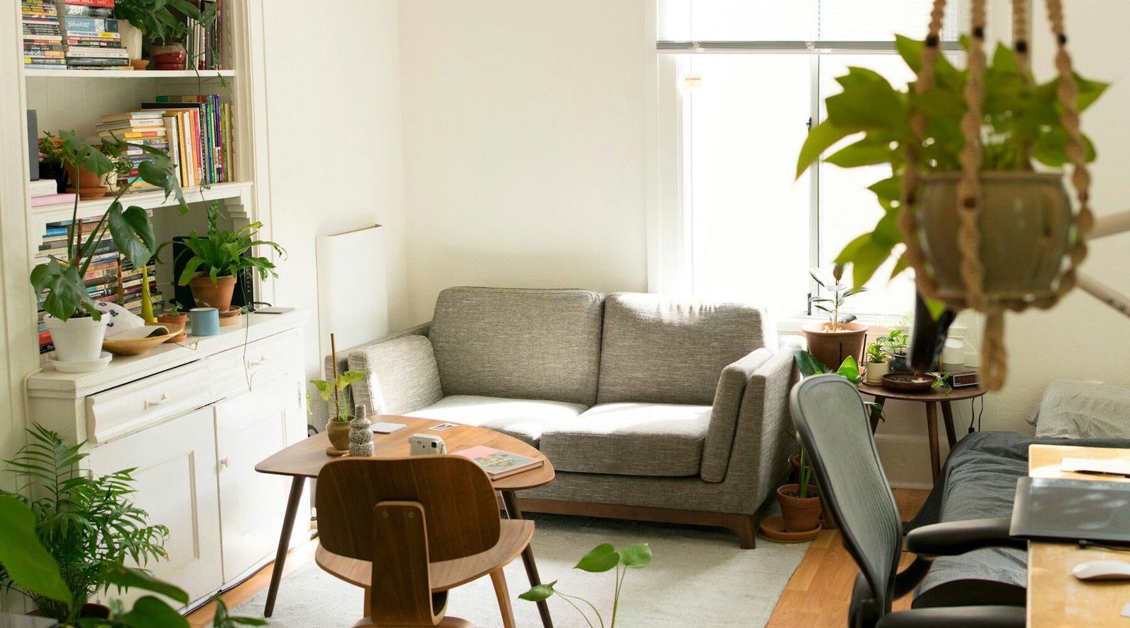 Bright vacation home living room with sofa and plants